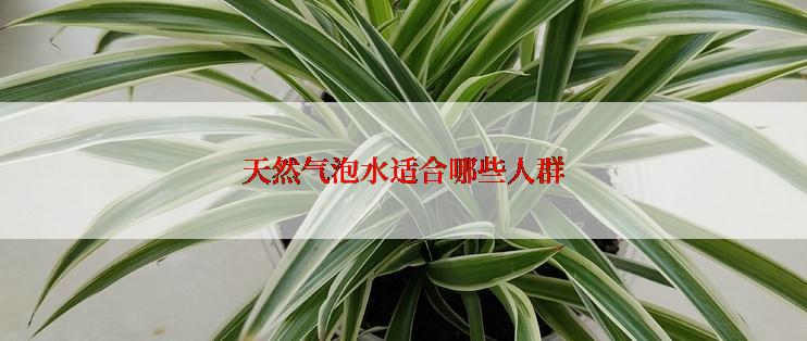 天然气泡水适合哪些人群