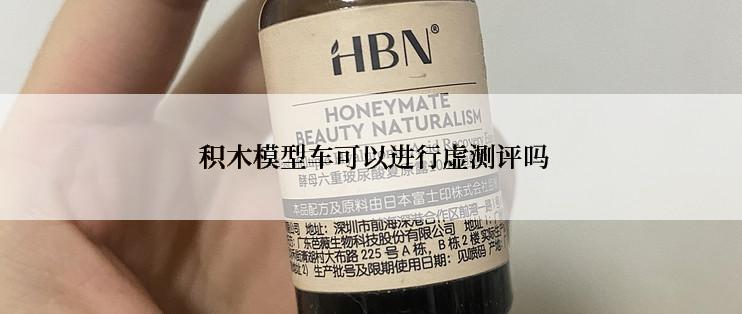  积木模型车可以进行虚测评吗