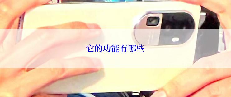 它的功能有哪些