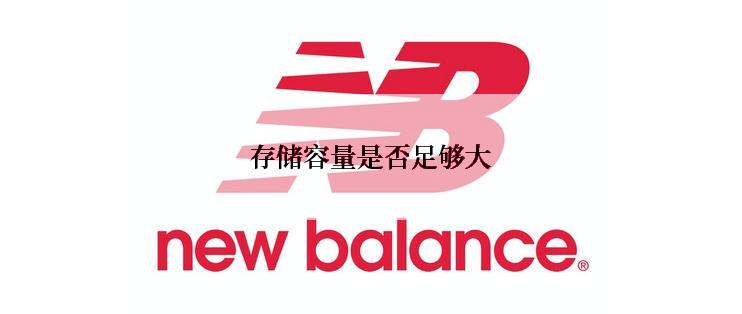 存储容量是否足够大