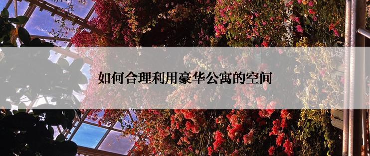 如何合理利用豪华公寓的空间