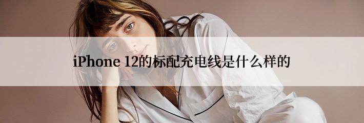 iPhone 12的标配充电线是什么样的
