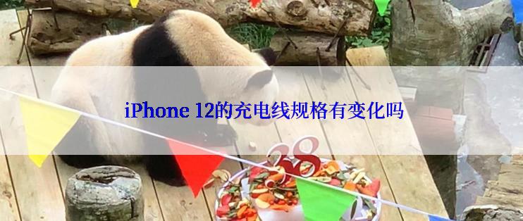  iPhone 12的充电线规格有变化吗