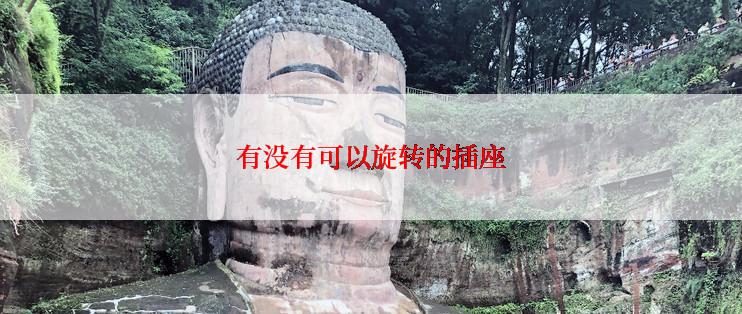 有没有可以旋转的插座