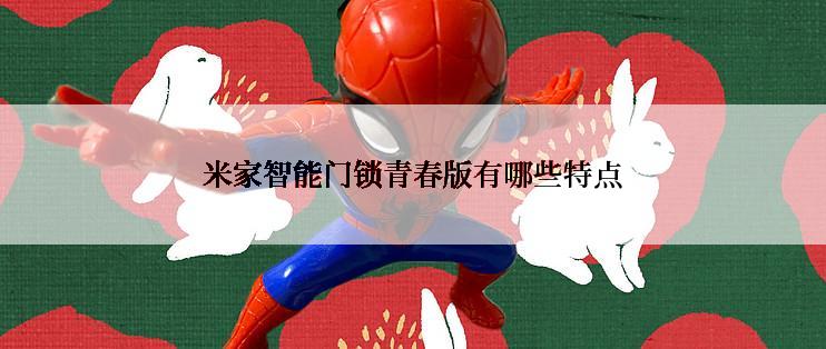 米家智能门锁青春版有哪些特点
