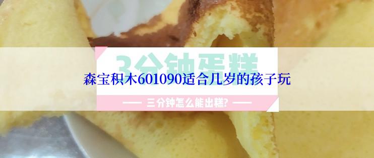 森宝积木601090适合几岁的孩子玩