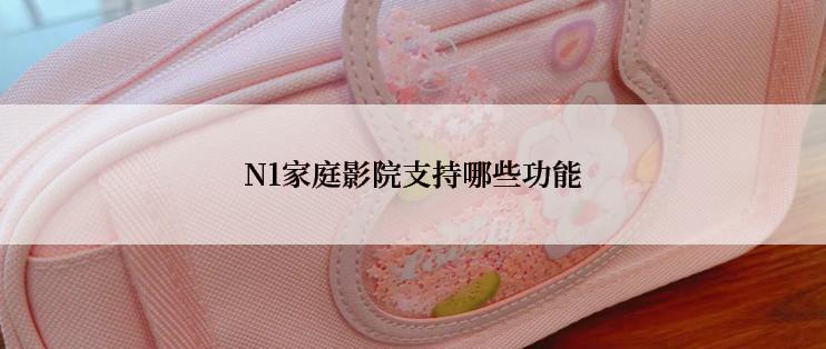 N1家庭影院支持哪些功能