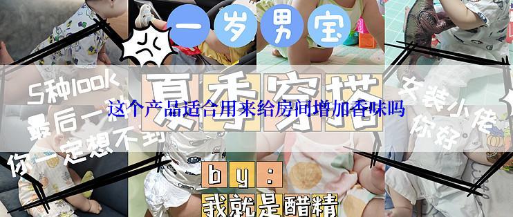 这个产品适合用来给房间增加香味吗