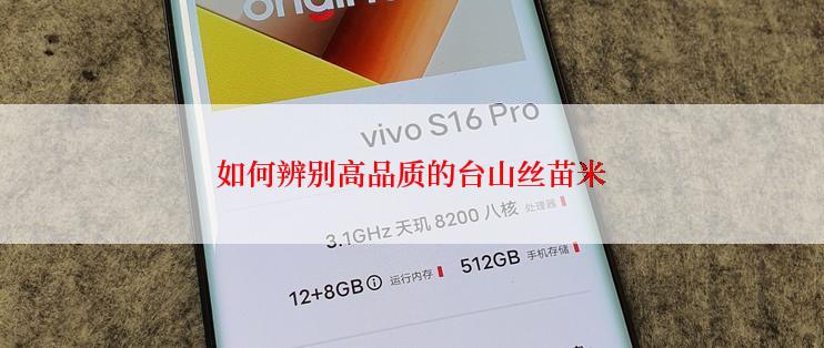 如何辨别高品质的台山丝苗米