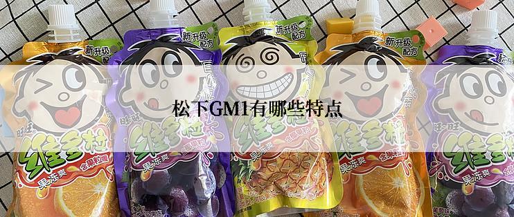 松下GM1有哪些特点