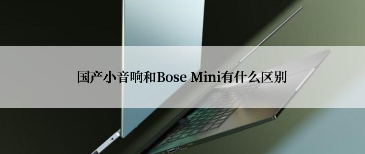 国产小音响和Bose Mini有什么区别
