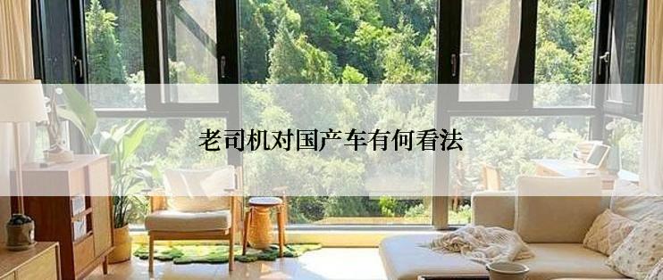 老司机对国产车有何看法