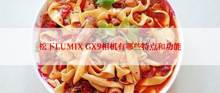 松下LUMIX GX9相机有哪些特点和功能