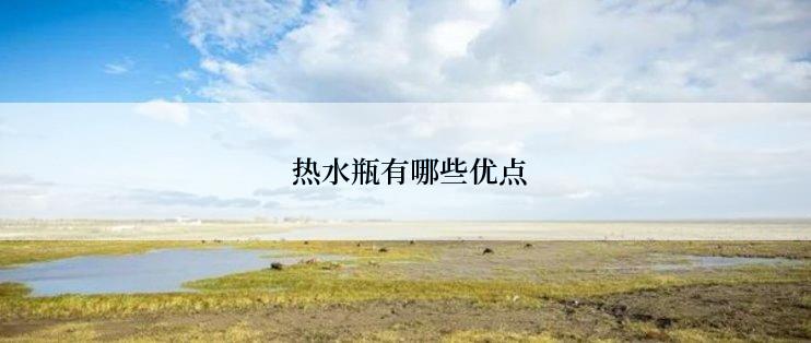  热水瓶有哪些优点