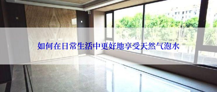 如何在日常生活中更好地享受天然气泡水
