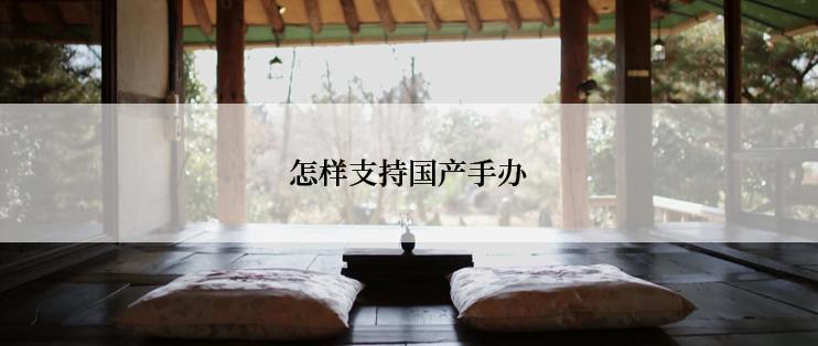 怎样支持国产手办