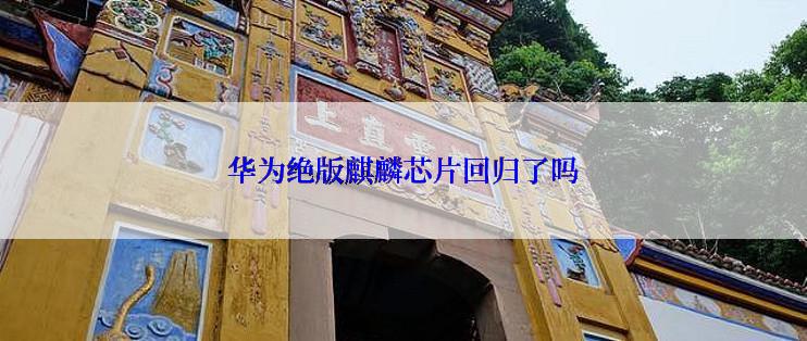 华为绝版麒麟芯片回归了吗