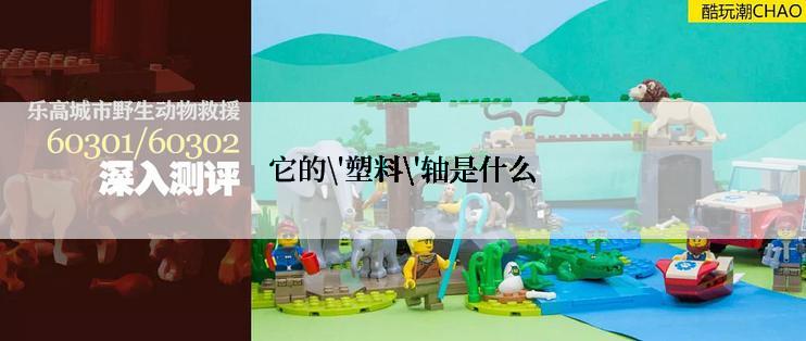 它的\'塑料\'轴是什么