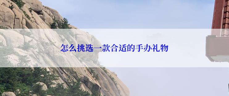 怎么挑选一款合适的手办礼物