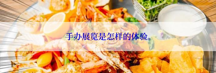 手办展览是怎样的体验。