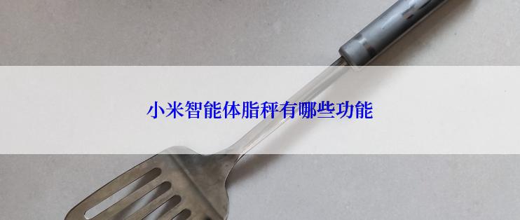 小米智能体脂秤有哪些功能