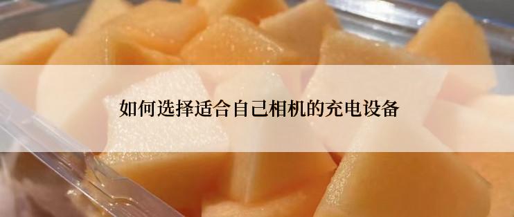  如何选择适合自己相机的充电设备