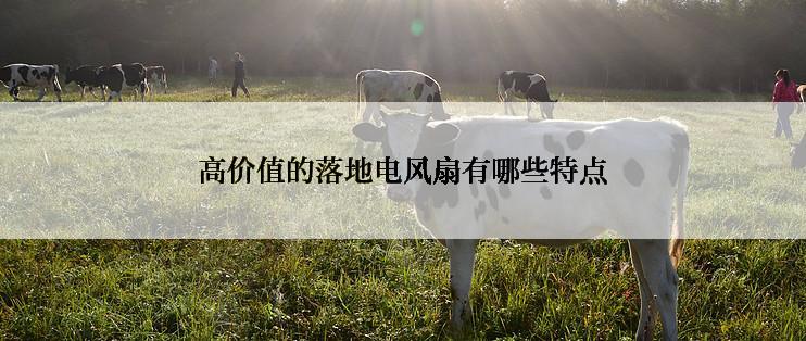 高价值的落地电风扇有哪些特点