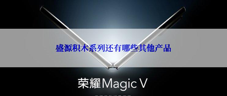 盛源积木系列还有哪些其他产品