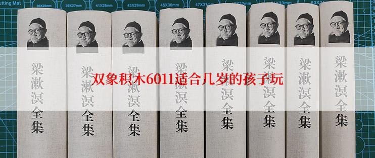 双象积木6011适合几岁的孩子玩