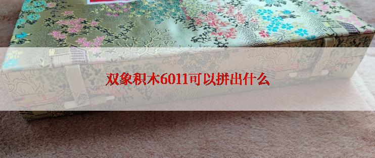 双象积木6011可以拼出什么