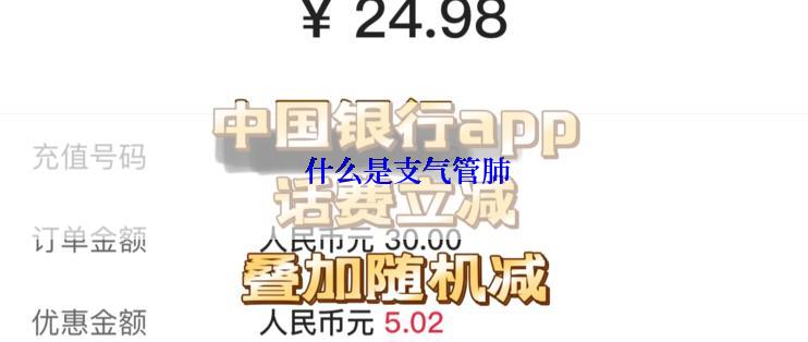  什么是支气管肺