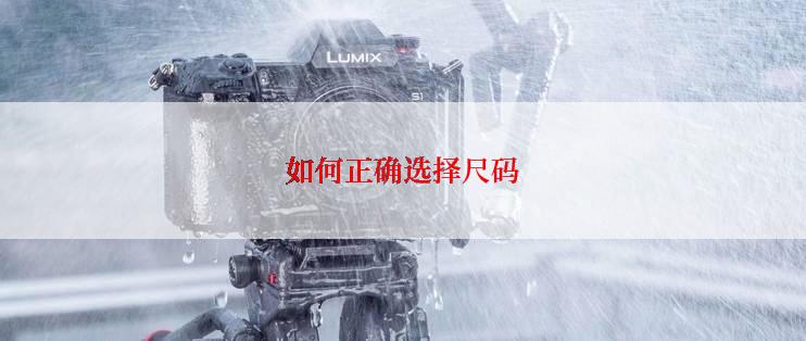 如何正确选择尺码