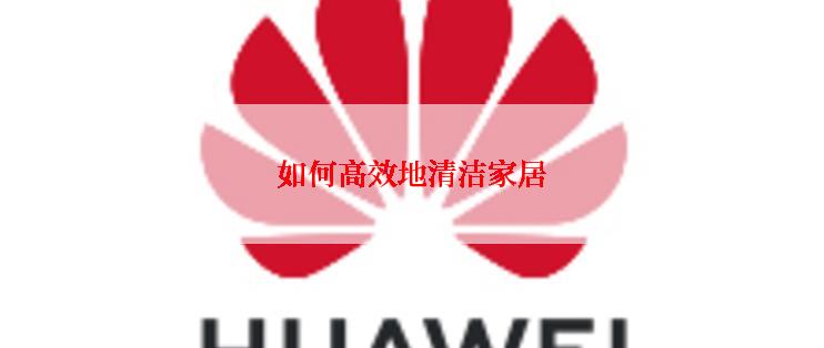 如何高效地清洁家居