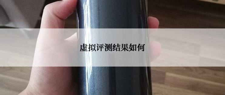 虚拟评测结果如何