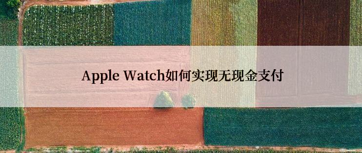  Apple Watch如何实现无现金支付