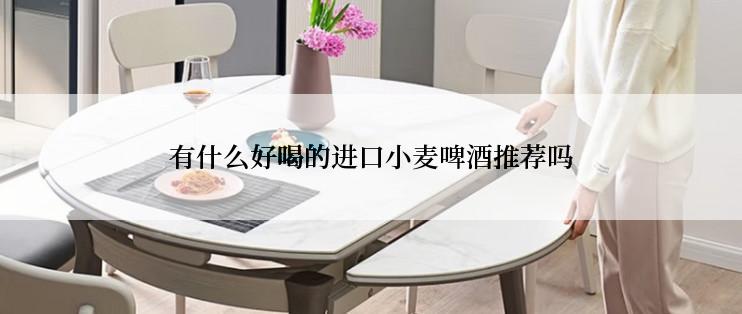 有什么好喝的进口小麦啤酒推荐吗