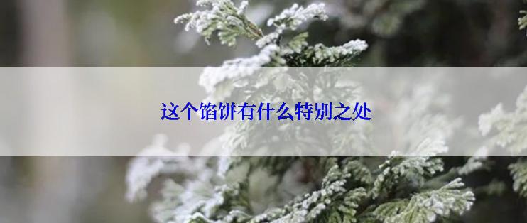  这个馅饼有什么特别之处