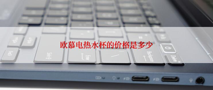 欧慕电热水杯的价格是多少