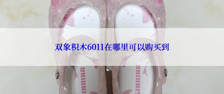 双象积木6011在哪里可以购买到