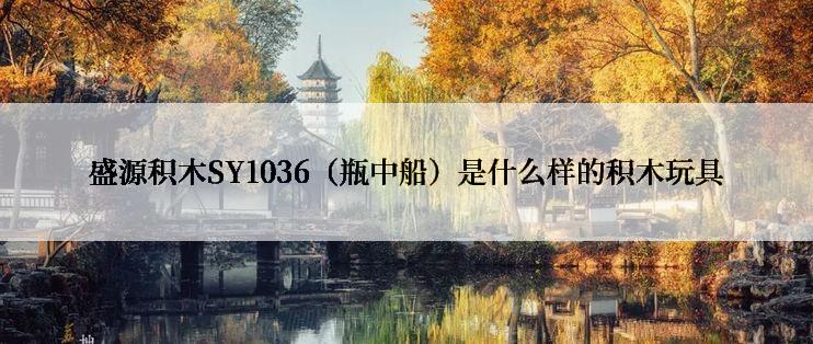 盛源积木SY1036（瓶中船）是什么样的积木玩具