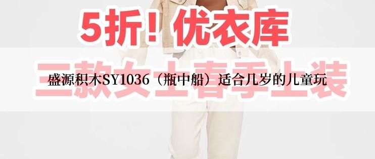 盛源积木SY1036（瓶中船）适合几岁的儿童玩