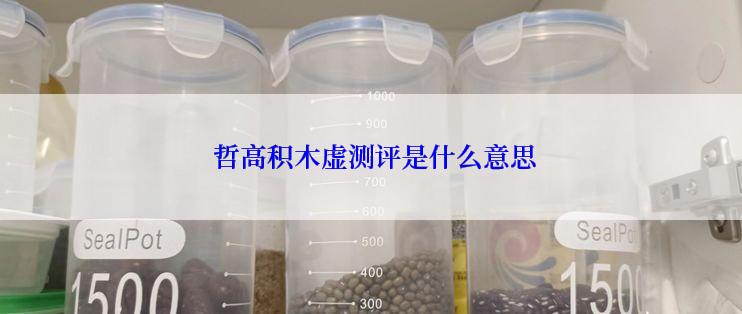  哲高积木虚测评是什么意思