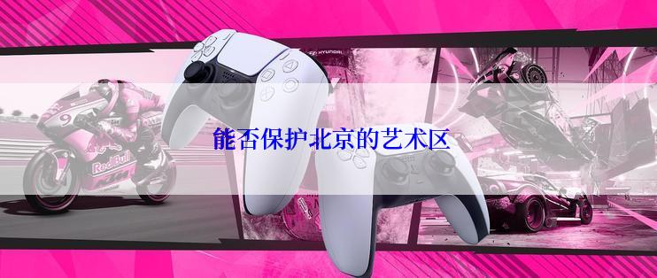  能否保护北京的艺术区