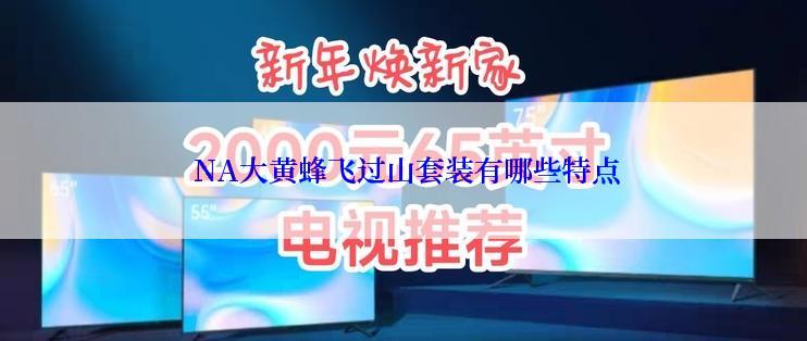 NA大黄蜂飞过山套装有哪些特点