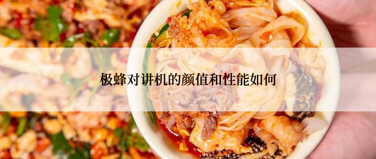 极蜂对讲机的颜值和性能如何