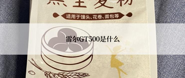 雷尔GT500是什么