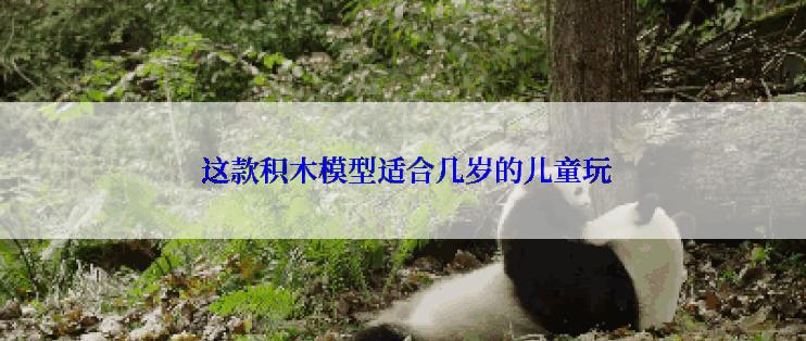  这款积木模型适合几岁的儿童玩