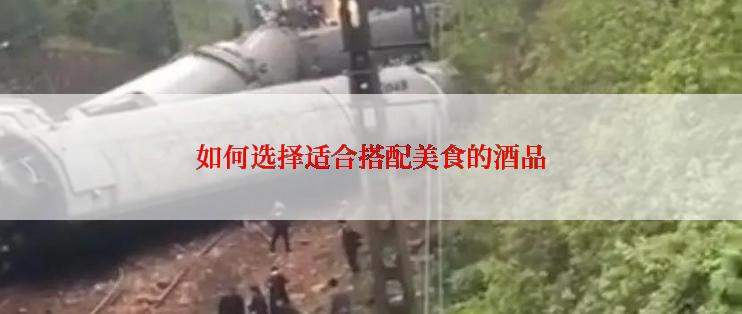 如何选择适合搭配美食的酒品