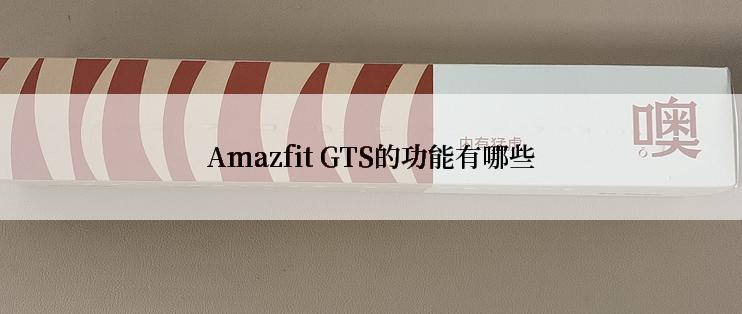 Amazfit GTS的功能有哪些