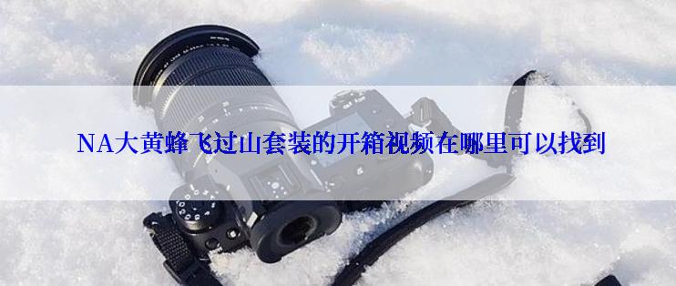  NA大黄蜂飞过山套装的开箱视频在哪里可以找到